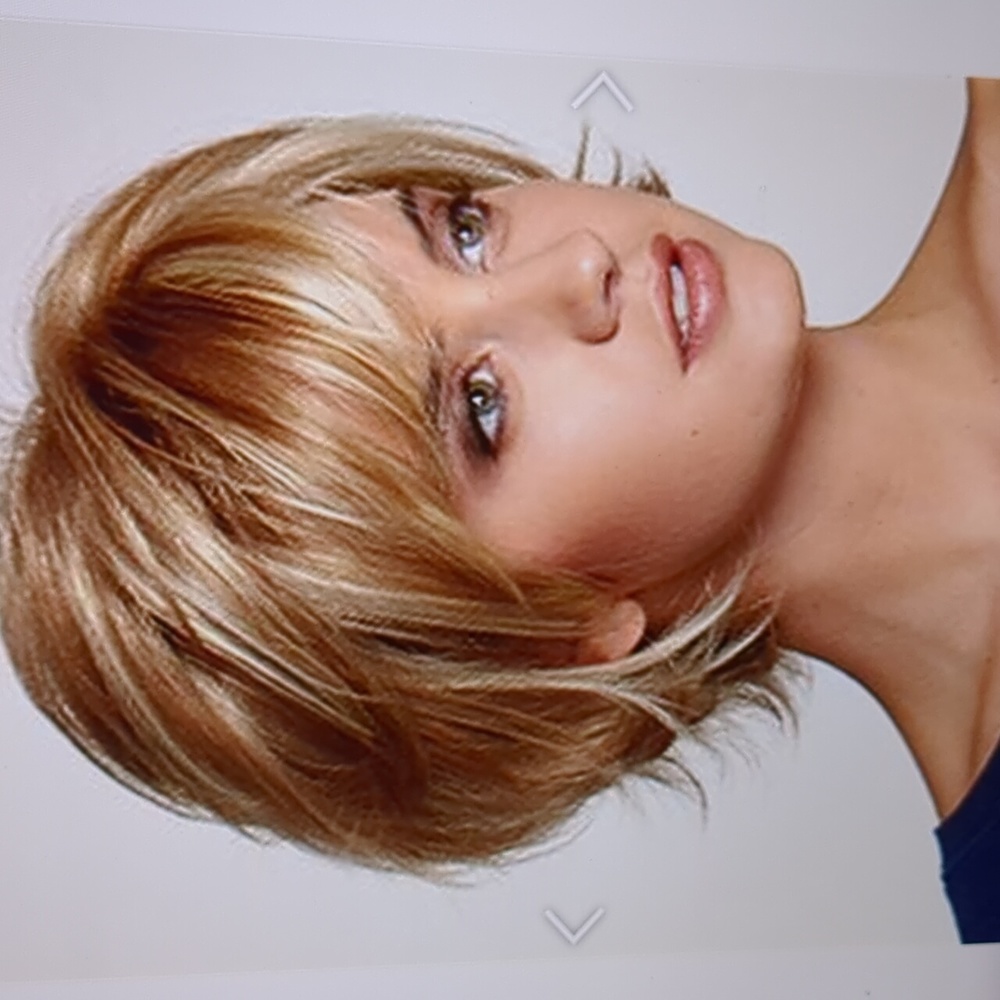 THE WIG.     Great quality .